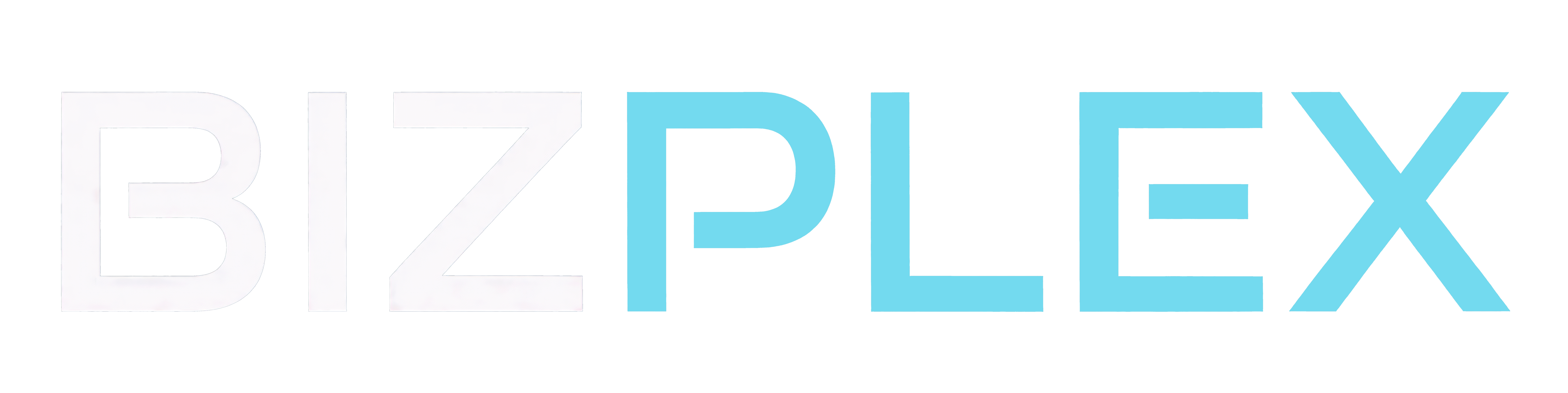 BizPlex